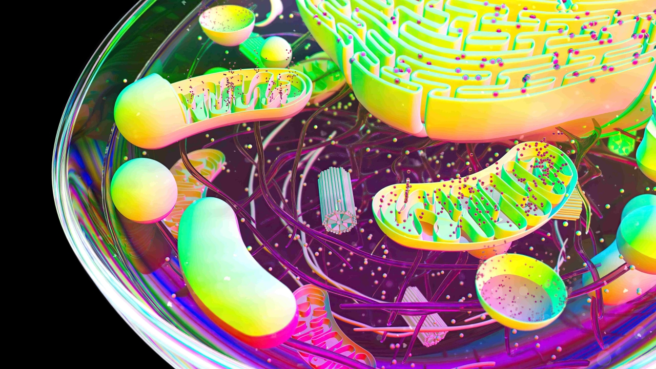 产品图